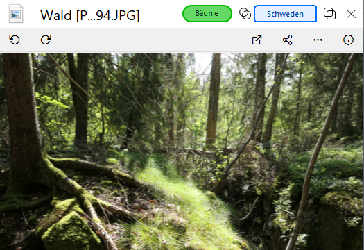 Integrierter Bildbetrachter